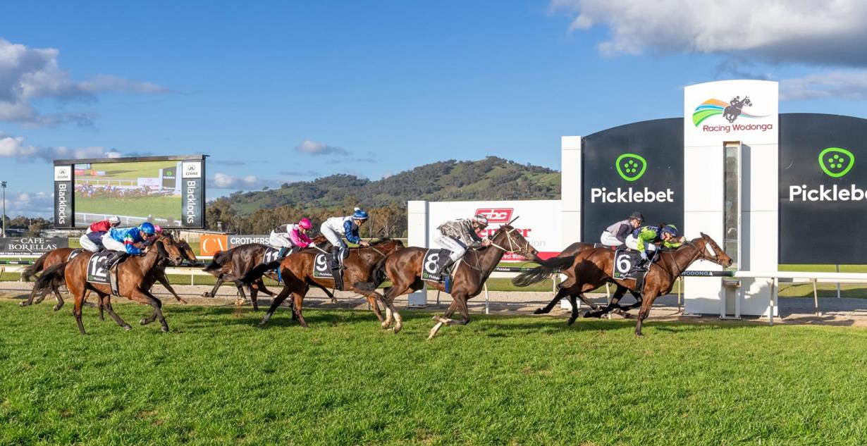 Hot Chips - Wodonga 5th August 2025